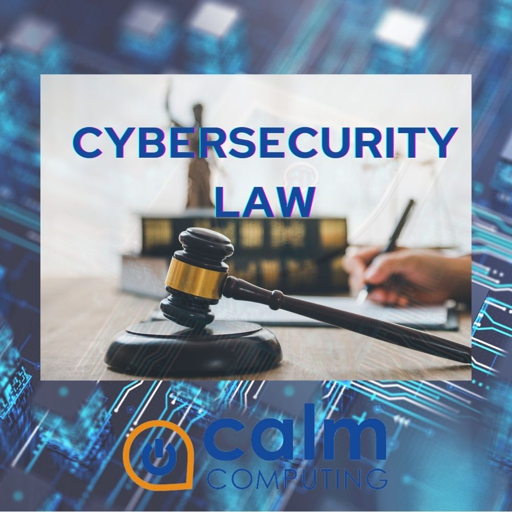 Cyber Security Law